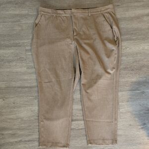 torrid Brown Dress Pants